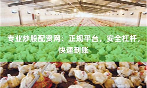 专业炒股配资网：正规平台，安全杠杆，快速到账