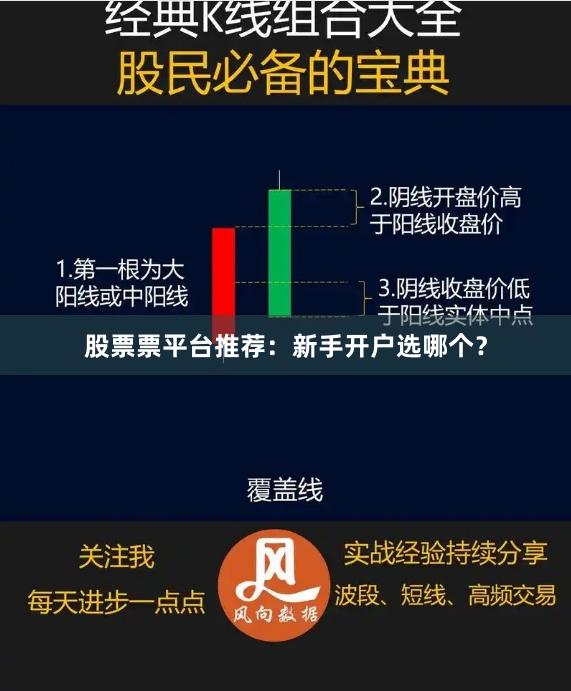 股票票平台推荐：新手开户选哪个？
